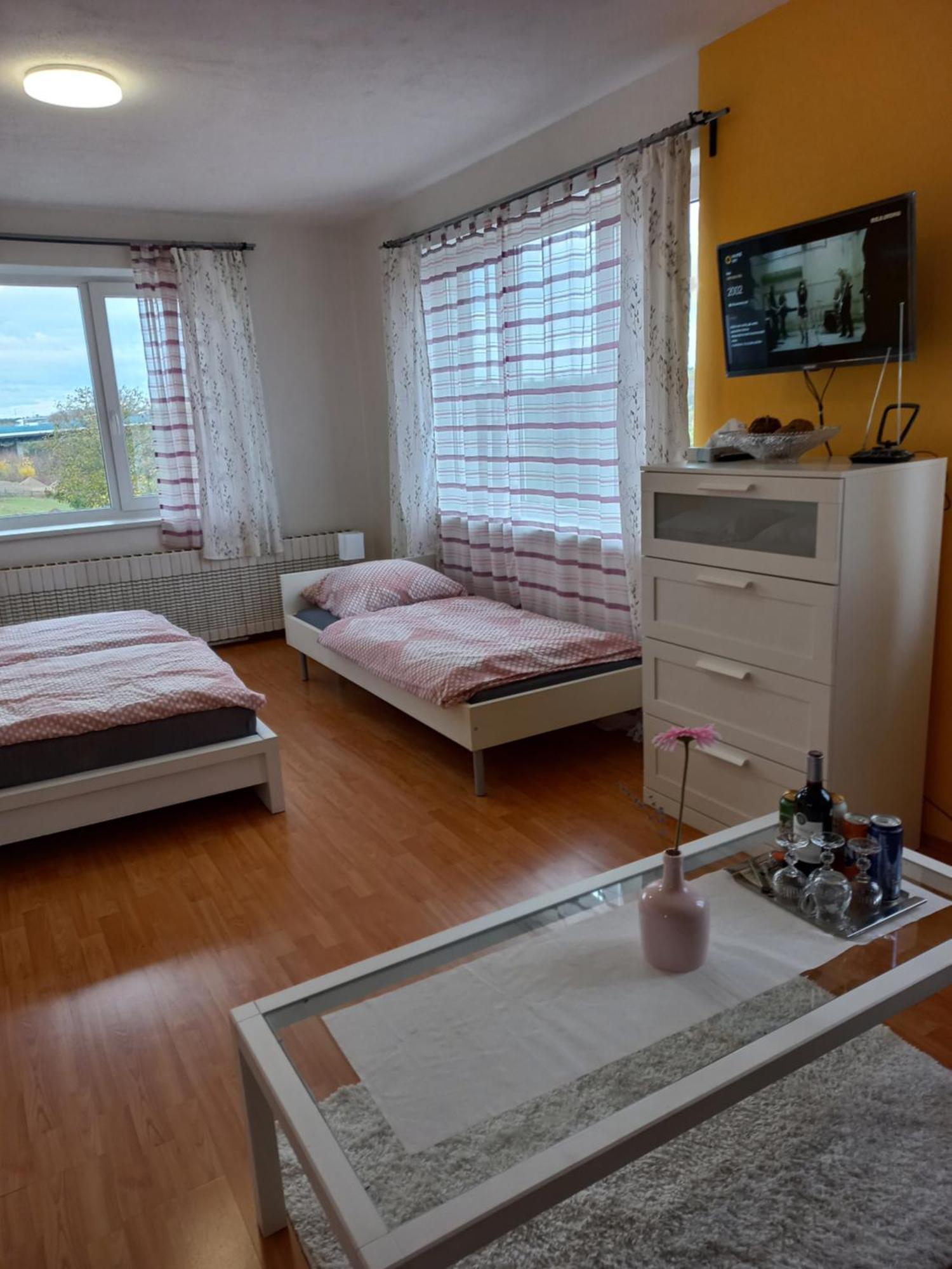 Paradise Villa Apartment 프라하 외부 사진
